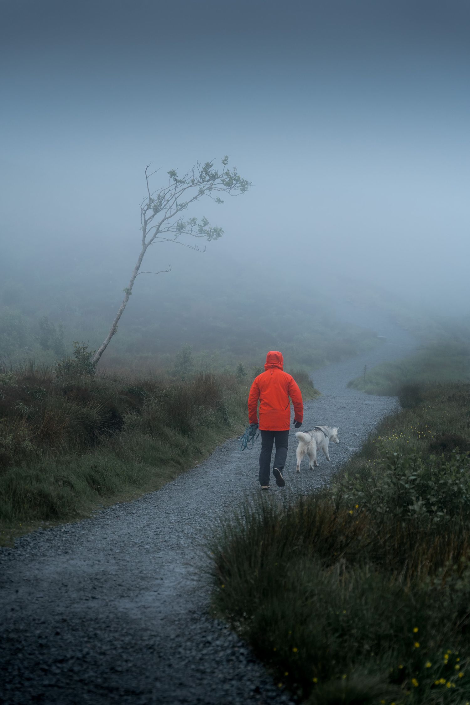 randonneur avec son chien dans la brume à the old mann of storr sur l'île de skye en ecosse