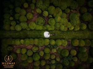 bruidspaar tussen de struiken groen en een drone shot bruiloft bruidsfotograaf