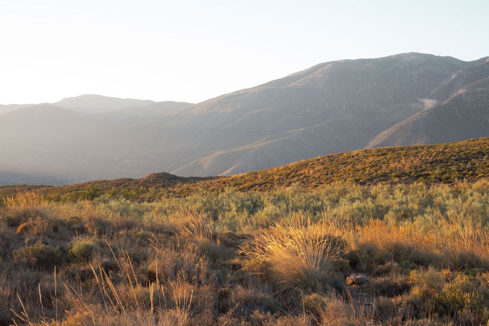 Rolling hills covered in golden brush stretch towards distant mountains at sunset.