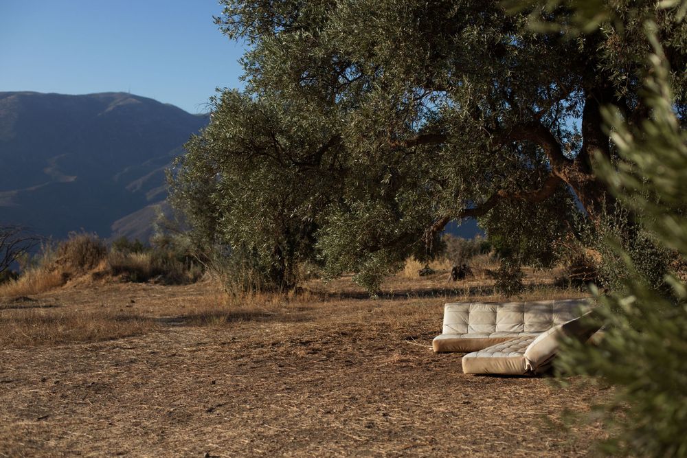 Rural landscape with trees and mountains under clear blue skies.