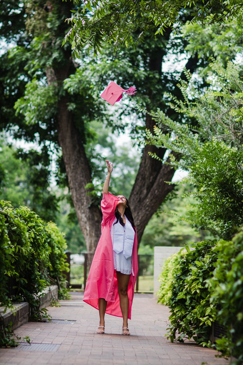 A graduate in pink cap and gown tosses their cap joyfully on a tree-lined path.