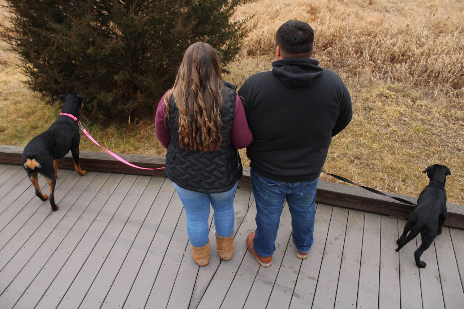 Couple standing on a wooden deck with two black dogs on leashes, overlooking a grassy field.