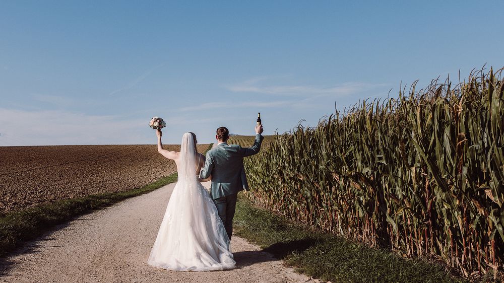 A bride and groom walk along a dirt path between tall cornfields on their wedding day.