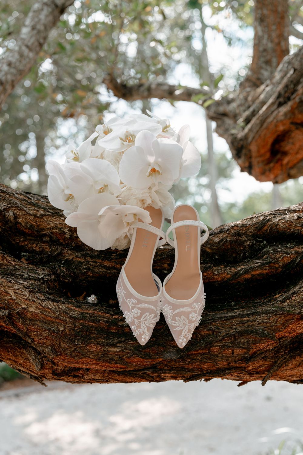 Elegant white lace bridal shoes displayed on a rustic tree branch in an artistic wedding detail shot.