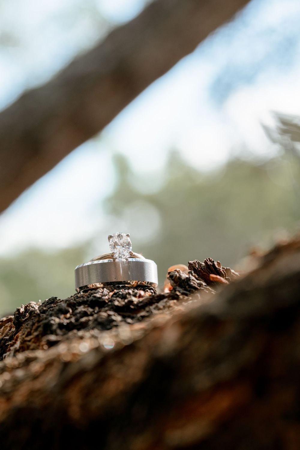 Wedding rings displayed on textured brown tree bark in a macro close-up shot.