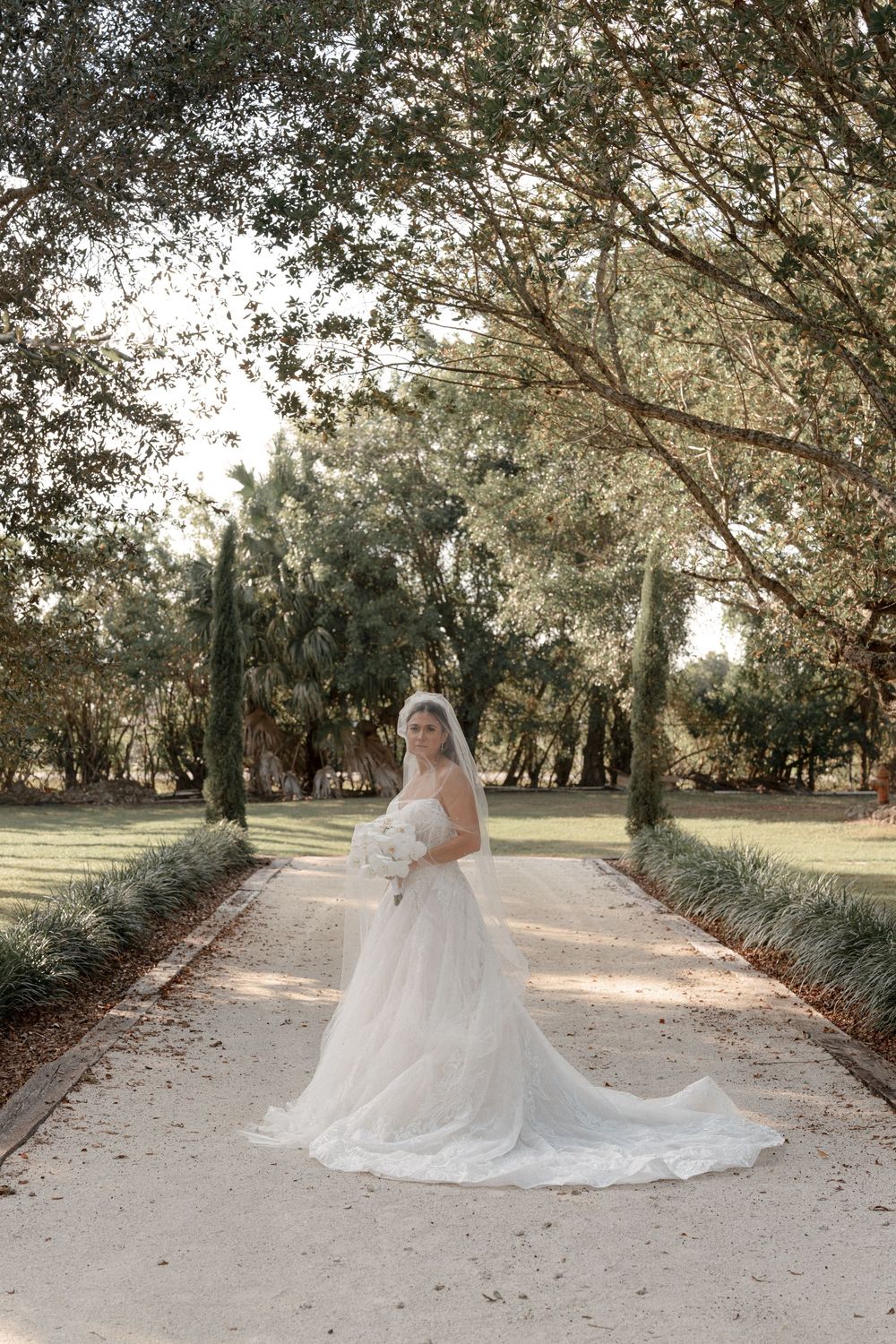 A beautiful bridal portrait session captured outdoors along a tree-lined path during golden hour.