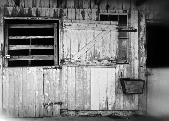 old barn doors, soft focus black and white