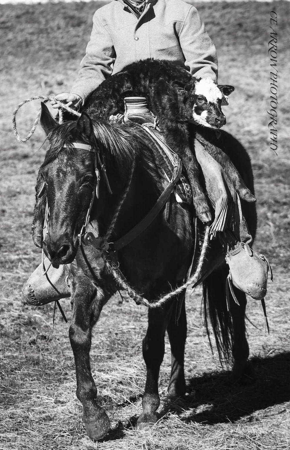 Vintage black and white photo of rider on horseback with gear.