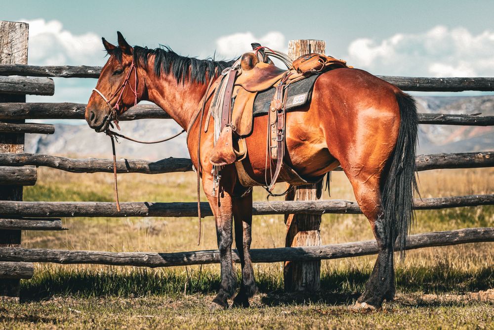 A saddled brown horse standing next to a wooden fence in a rural setting.