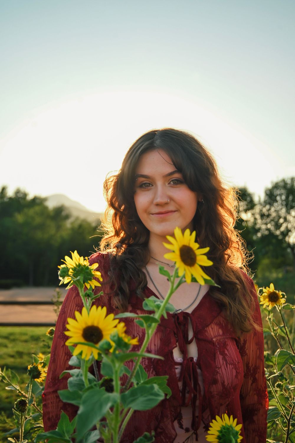 Woman in burgundy sweater poses in sunflower field during golden hour sunset.