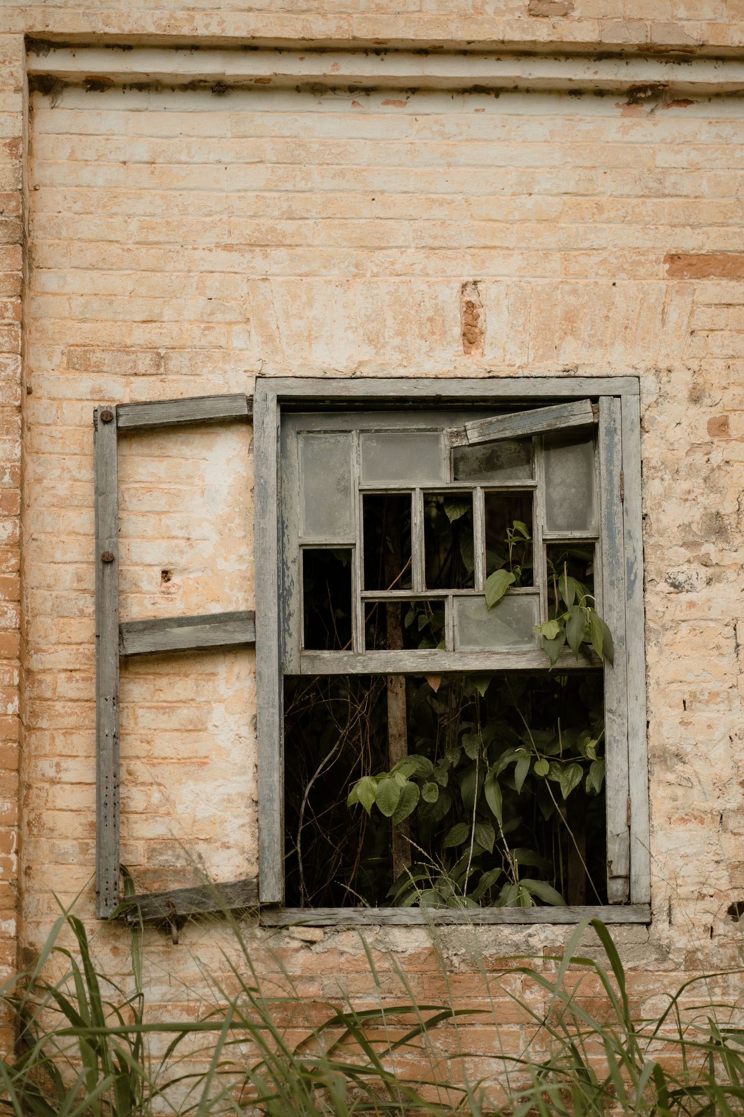 Weathered brick wall features broken windows and overgrown vegetation.