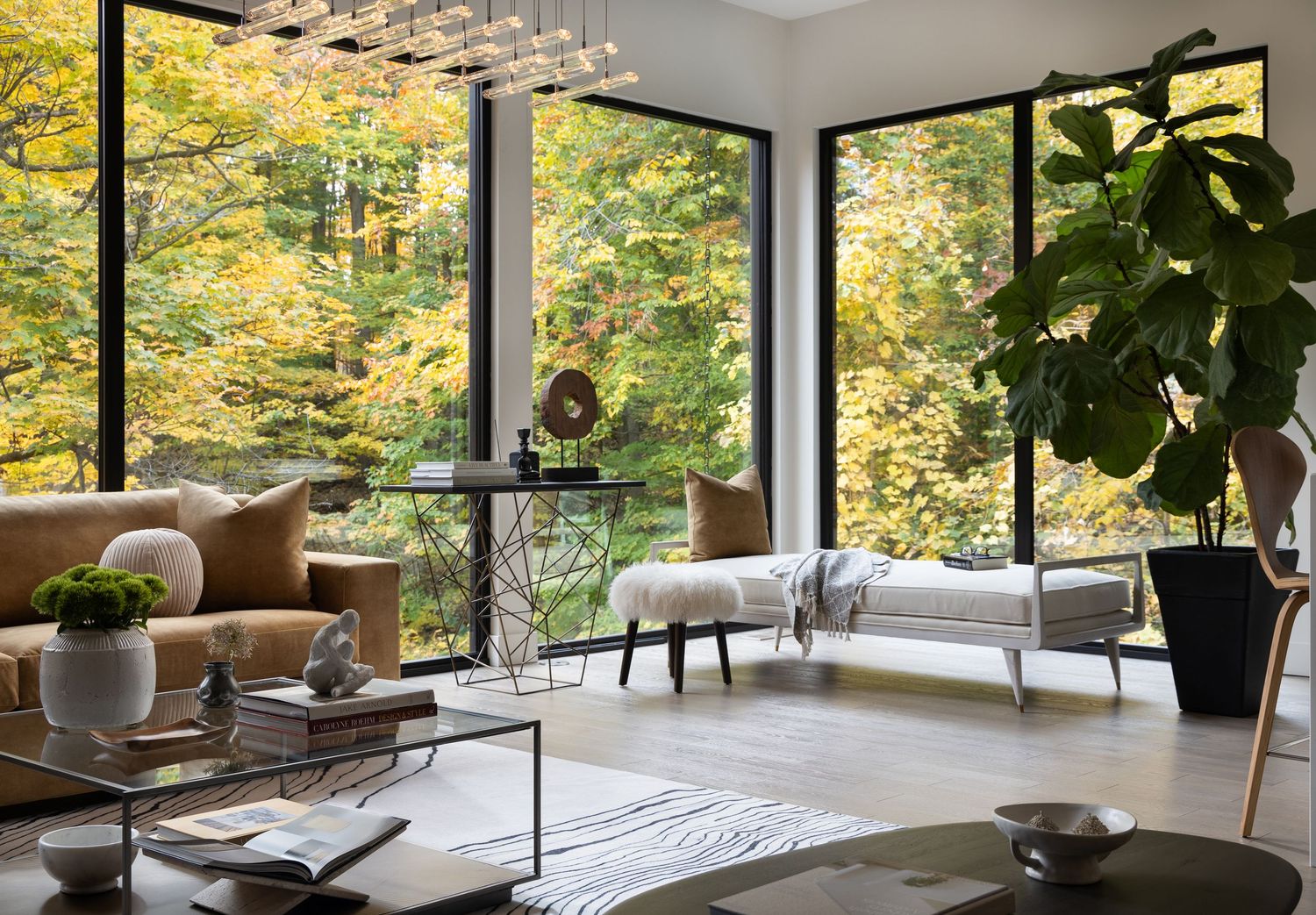 Modern living room with floor-to-ceiling windows overlooking autumn foliage, featuring leather sofa, daybed, and fiddle leaf fig plant.