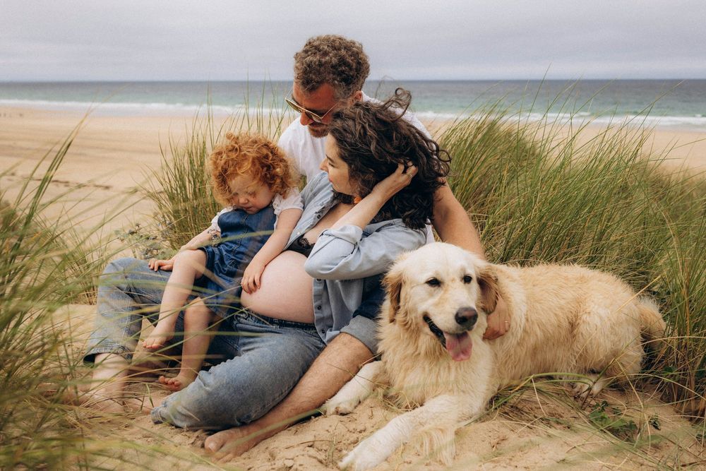 A group sits with a golden retriever dog on a sandy beach near grass dunes along the ocean shore.