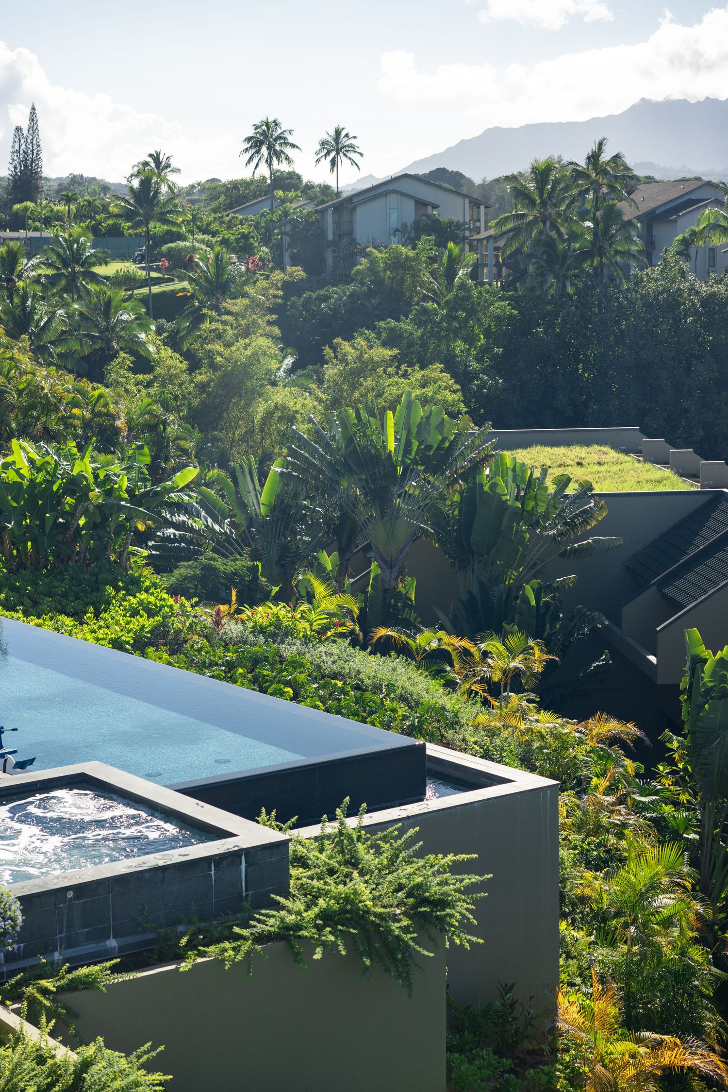 Luxury infinity pool overlooking lush tropical mountainside landscape.