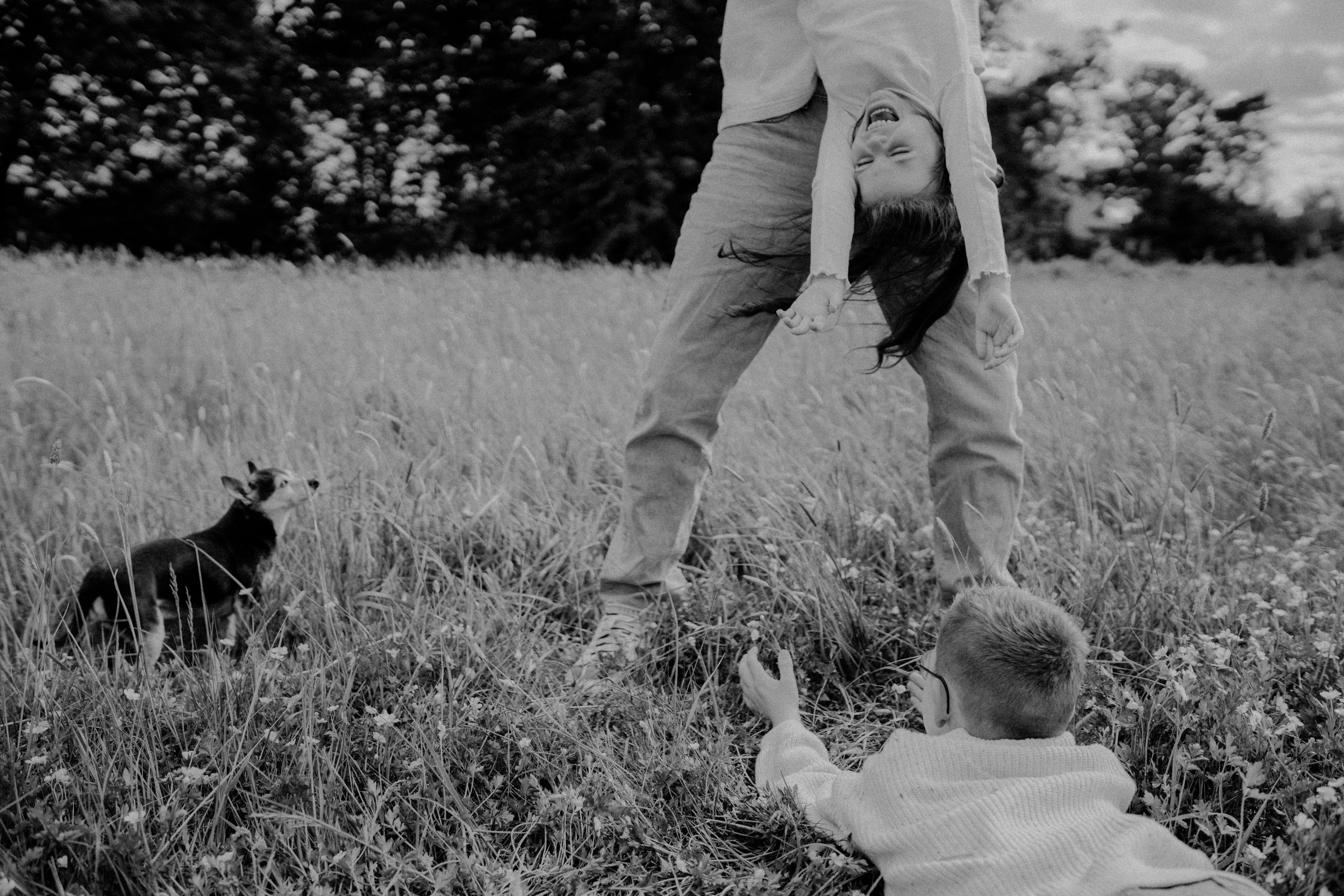 Ein Papa hält seine Tochter über Kopf und die Haare und Arme hängen lang runter. Sie lacht herzhaft. Der Bruder liegt davor im Gras.