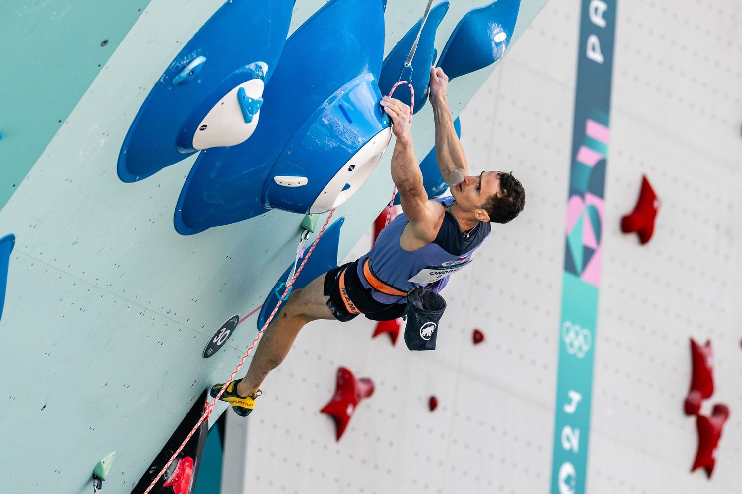 Sport climbing at Paris 2024 Olympic Games - photo Jan Virt