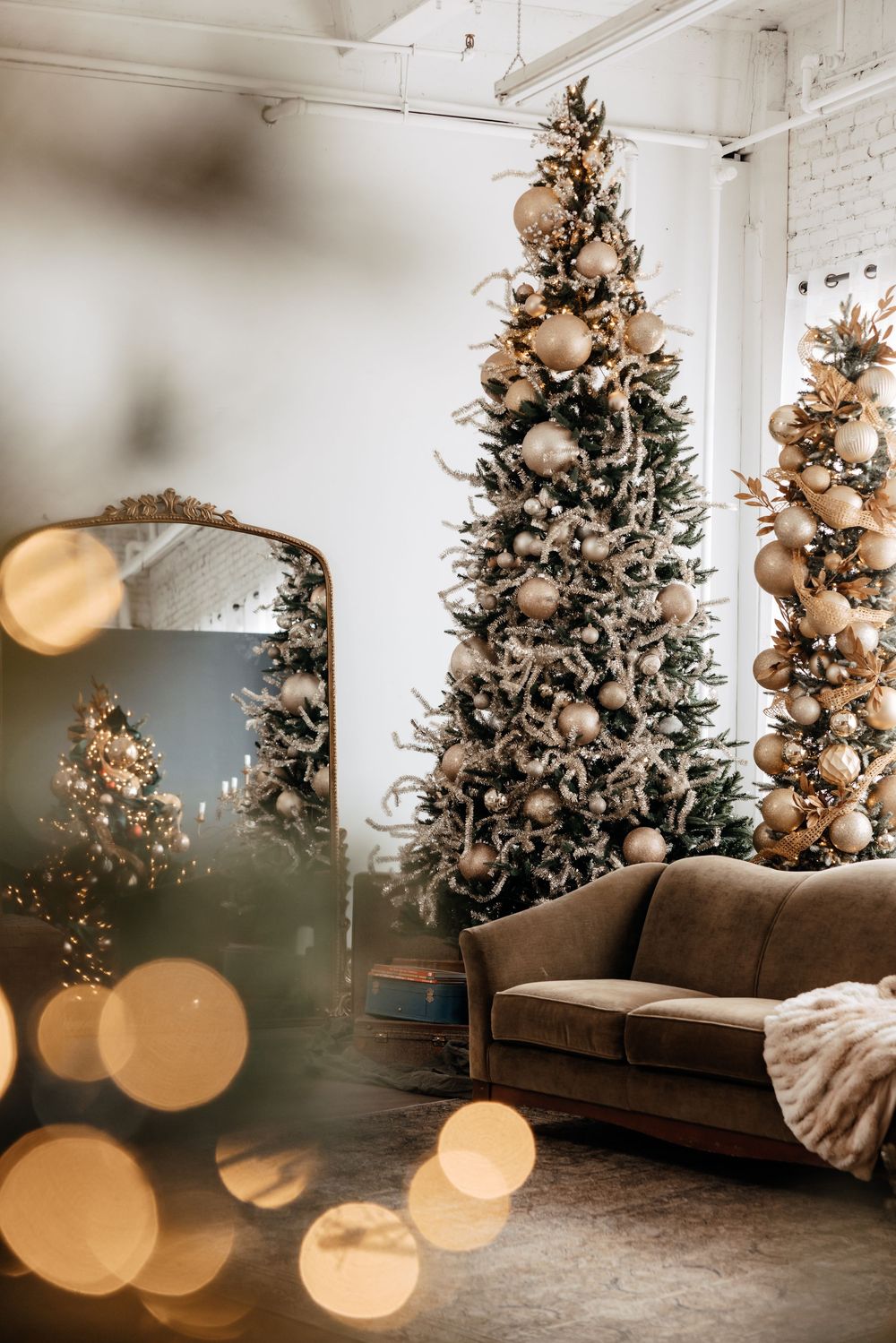 Christmas trees with warm glowing lights and ornaments create a dreamy bokeh effect in a white studio space.