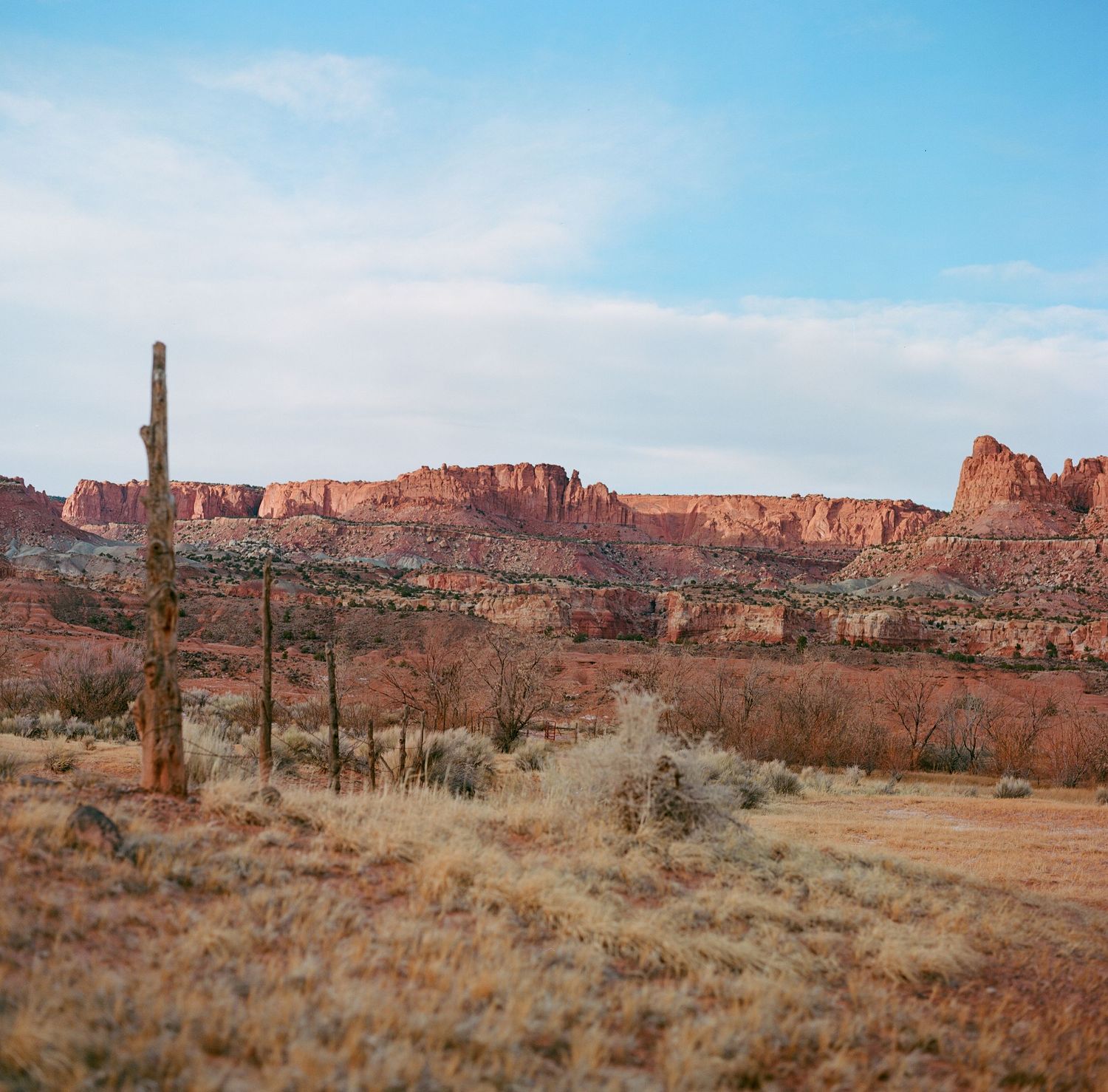Capitol Reef National Park, as taken on a medium format film camera.