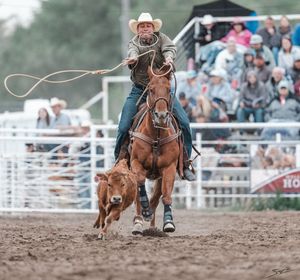 Rodeo action sequence showing calf roping competition at a western arena with spectators in background.