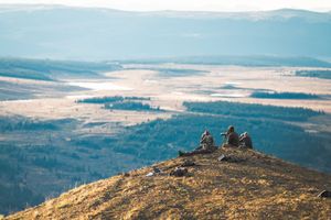Sweeping vista of rolling hills and valleys from mountain overlook during golden hour.