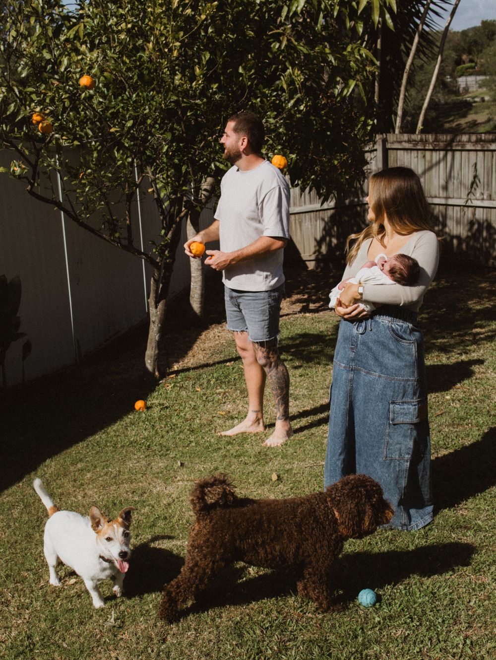 Dogs playing and interacting with people in a sunny backyard with fruit trees and green grass.