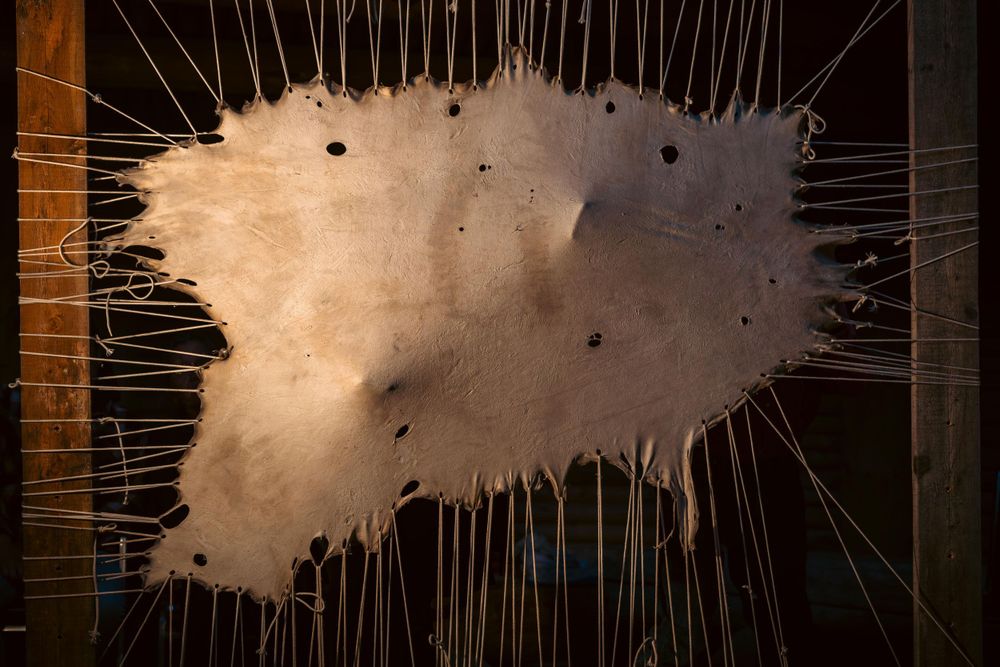 Stretched animal hide or fabric on frame with taut strings creating artistic pattern.
