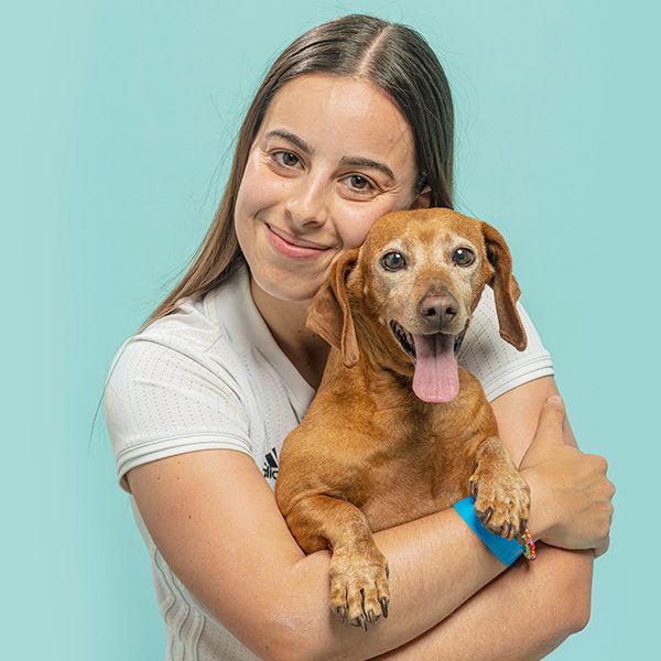 Brown dachshund mix being held against turquoise background.