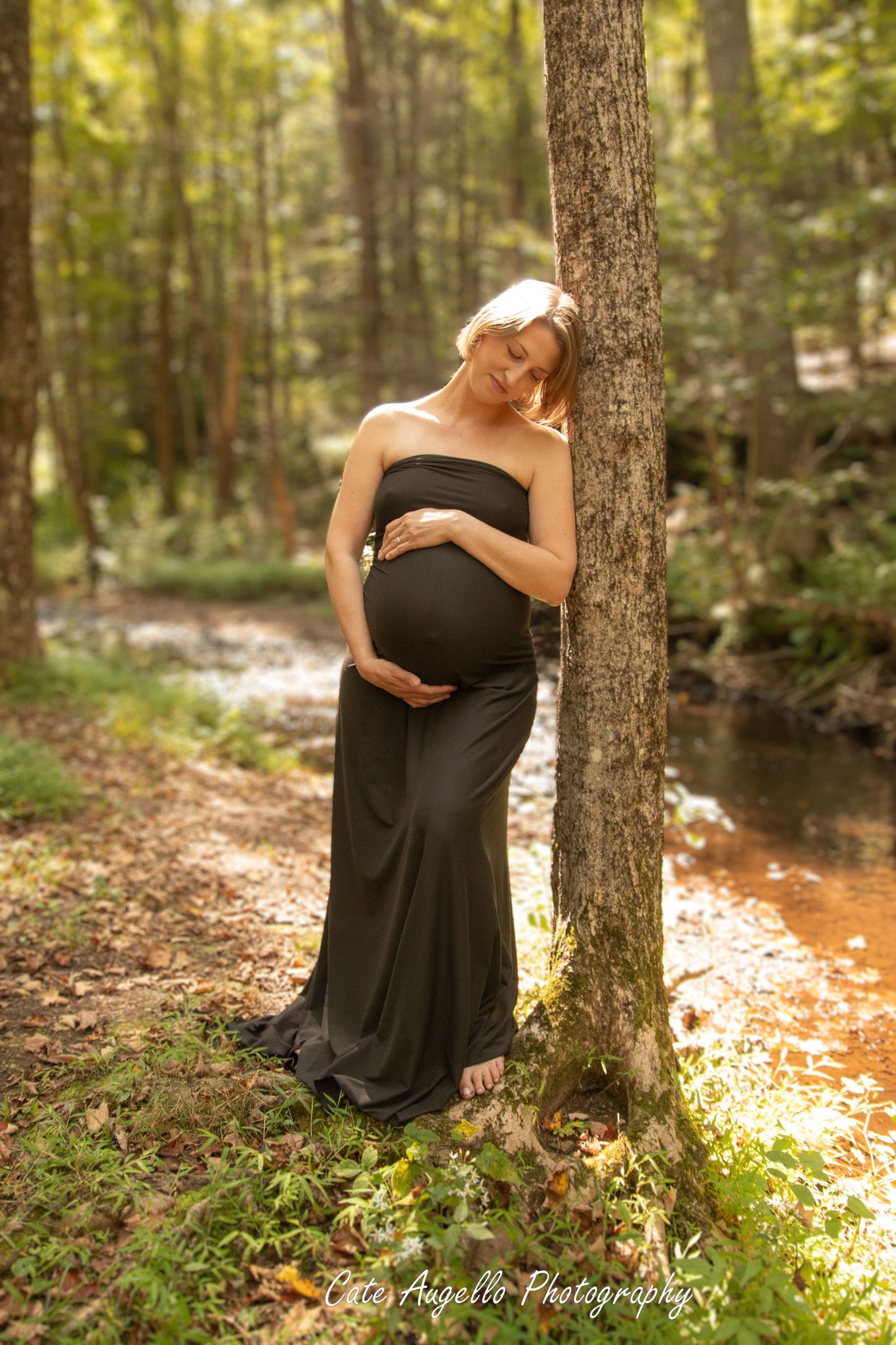A maternity photoshoot in a serene forest setting with autumn sunlight streaming through trees near a peaceful stream. Vernon, CT