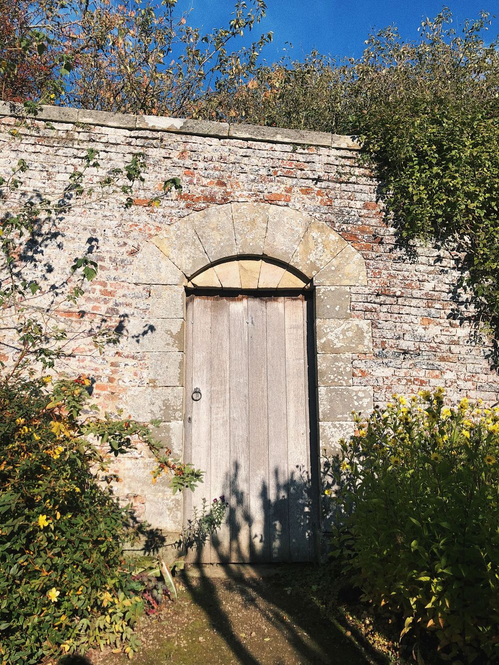 Rustic wooden door set in weathered brick wall of garden with autumn foliage.