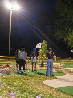 People enjoying a game of mini golf at night under bright floodlights on an illuminated course with landscaping.