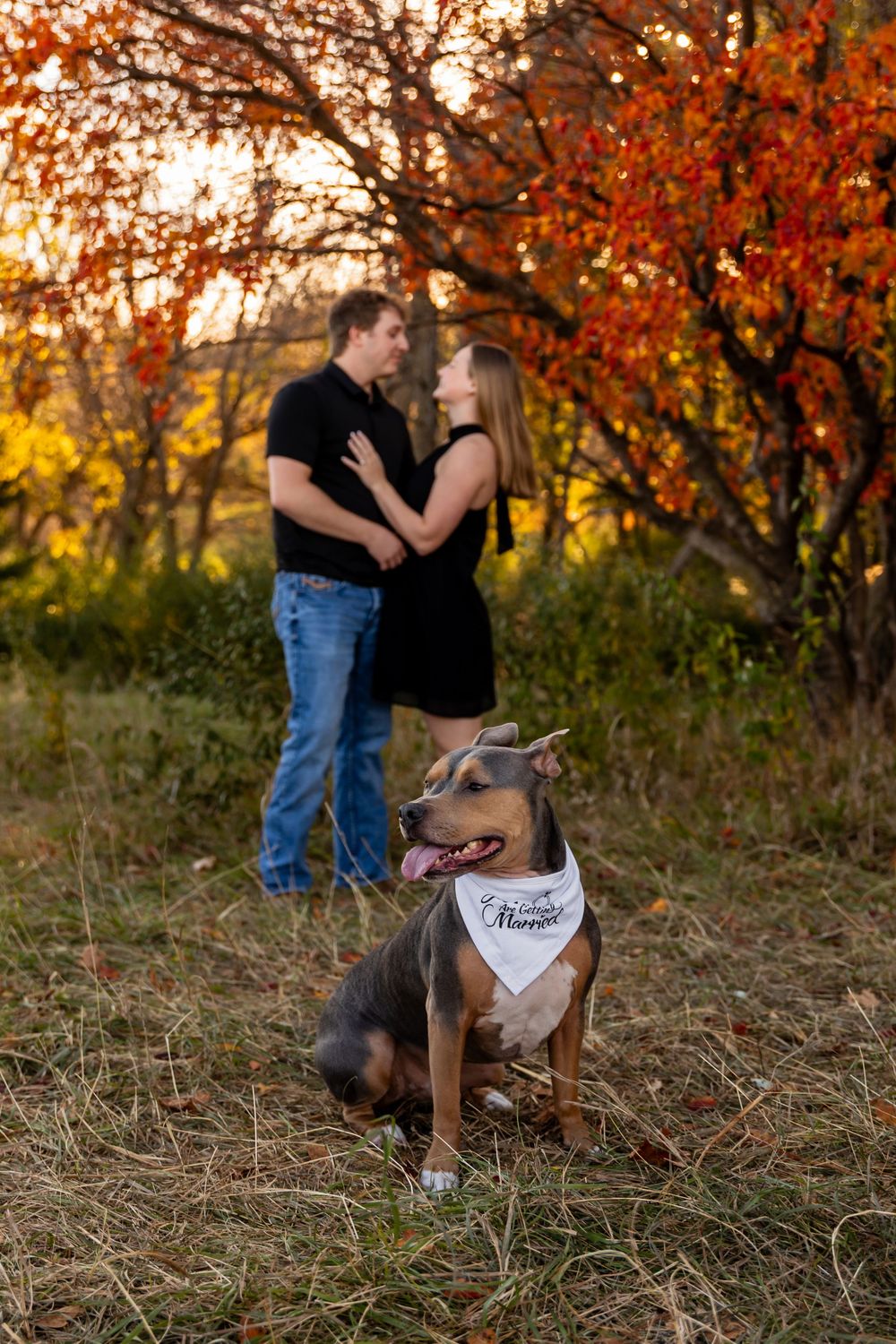 A couple shares an intimate moment in a fall setting while their dog sits attentively in the foreground.