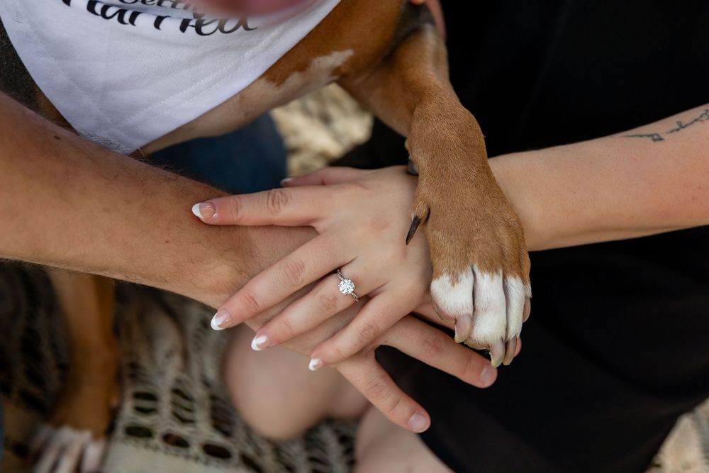 A close-up of hands joined together including a dog's paw showing an engagement ring.