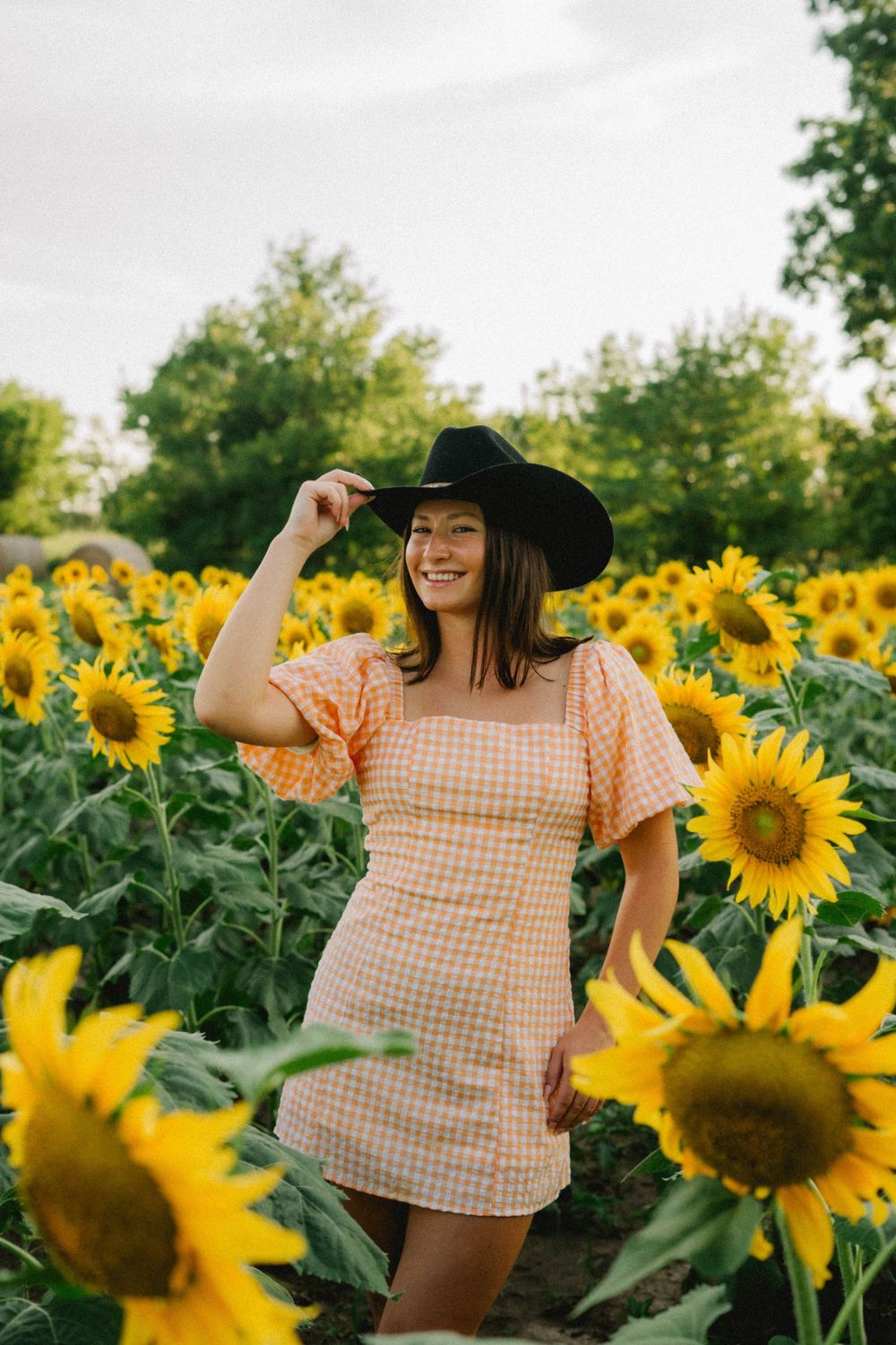 Joyful summer scene in sunflower field with person wearing gingham top and black hat.