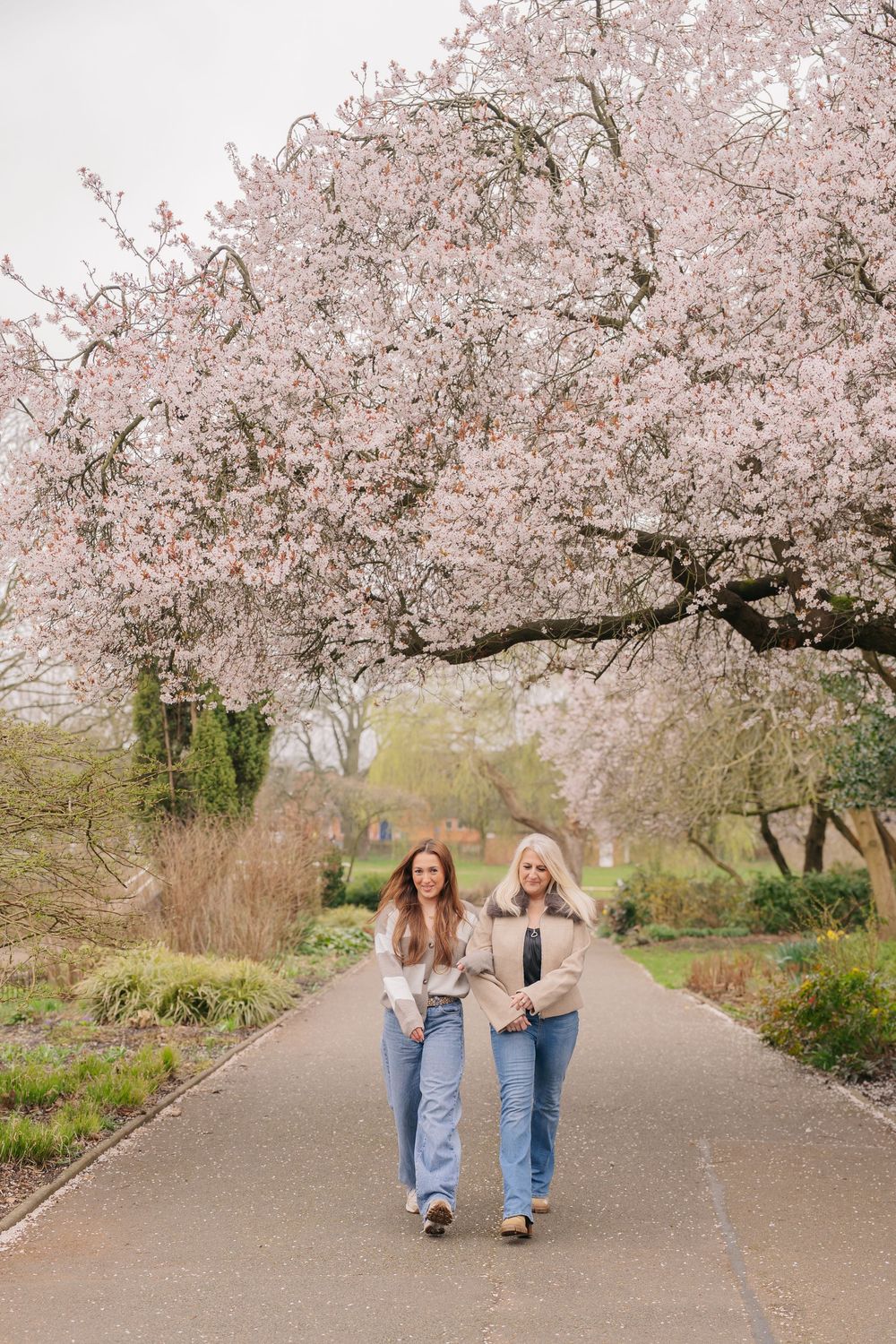 Two people walk together under blooming cherry blossom trees along a garden path in springtime.
