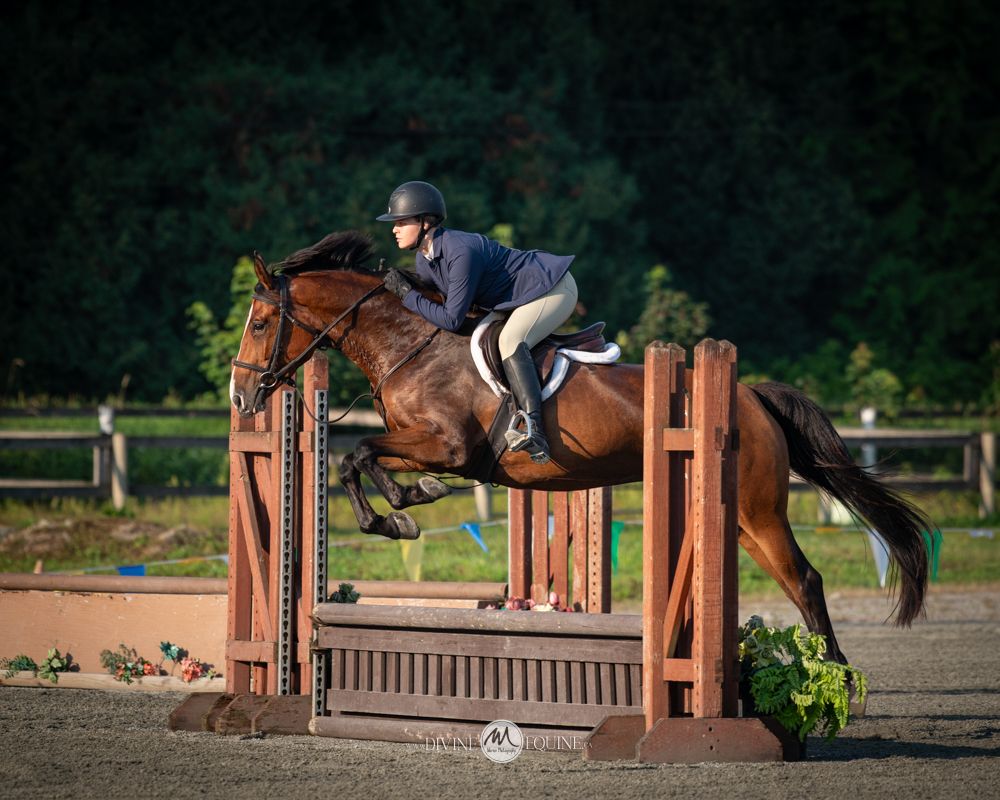 An equestrian athlete riding a bay horse jumping over a wooden fence during a show jumping competition at dusk.