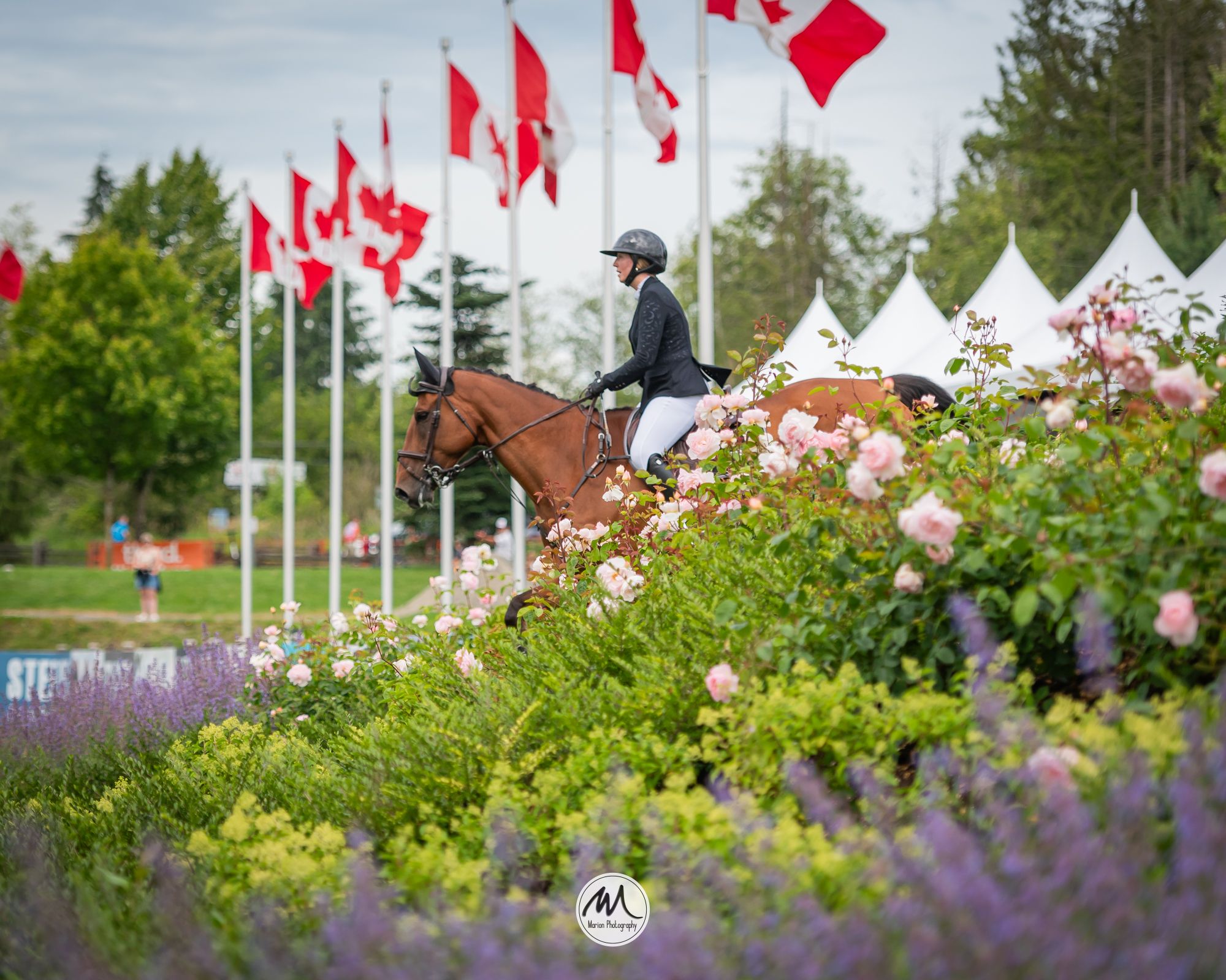 Equestrian rider on a brown horse during a Canadian show jumping event, partially obscured by colorful flowers.