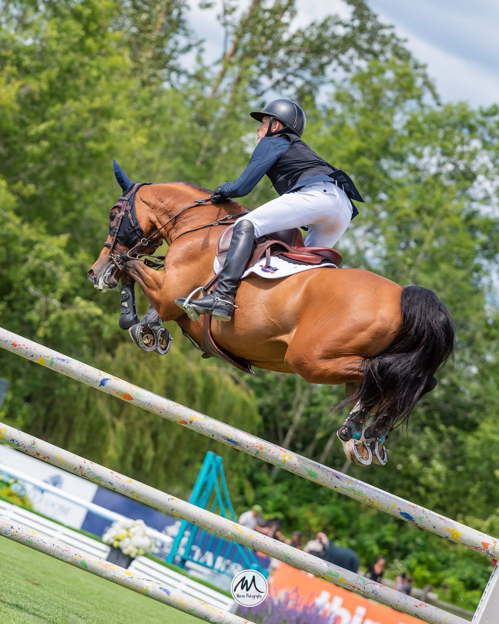 Equestrian rider in white breeches mid-air on a brown horse while jumping over a painted show jumping obstacle