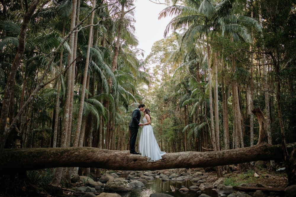Wedding couple stands on a rustic bridge in a magical forest setting.