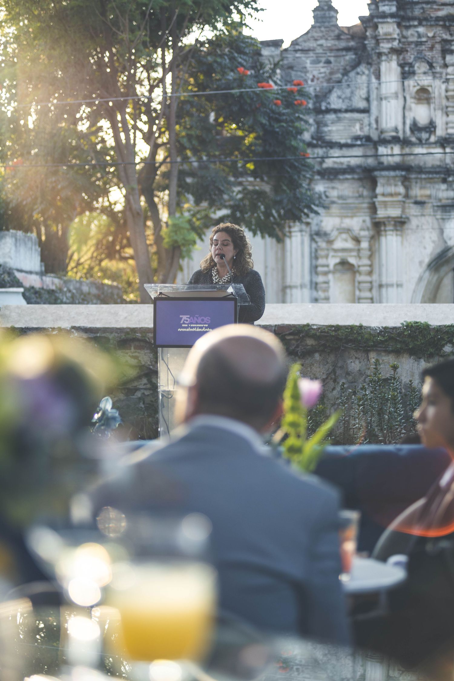 Mejor empresa Eventos, producción, interpretación, traducción y transmisiones en vivo de Eventos coorporativos Antigua Guatemala Altavision