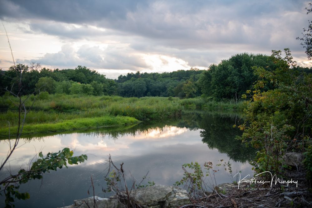 A serene panoramic view of a tranquil lake surrounded by lush green trees under a cloudy evening sky.