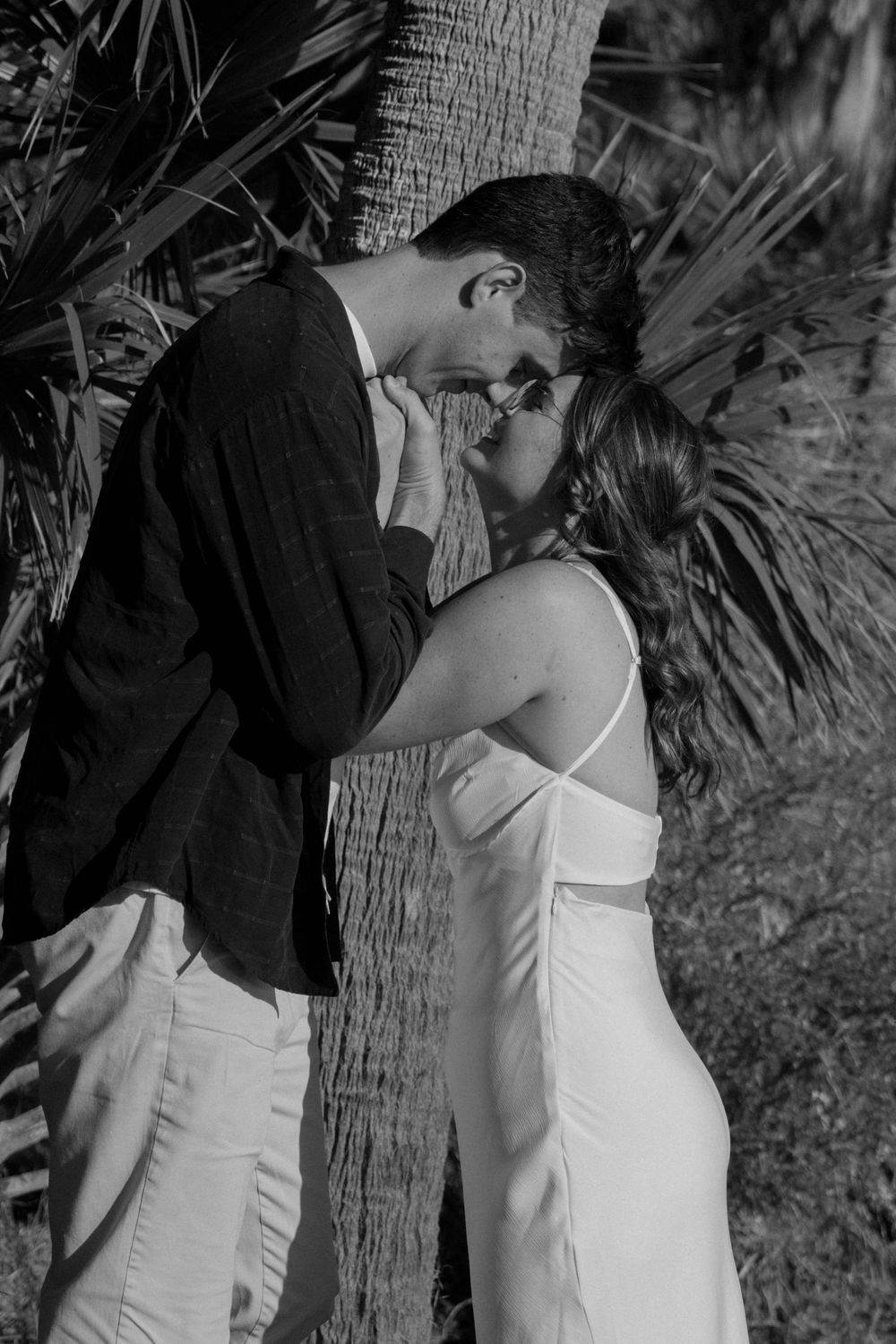Romantic black and white photo of a couple sharing an intimate moment by a palm tree.