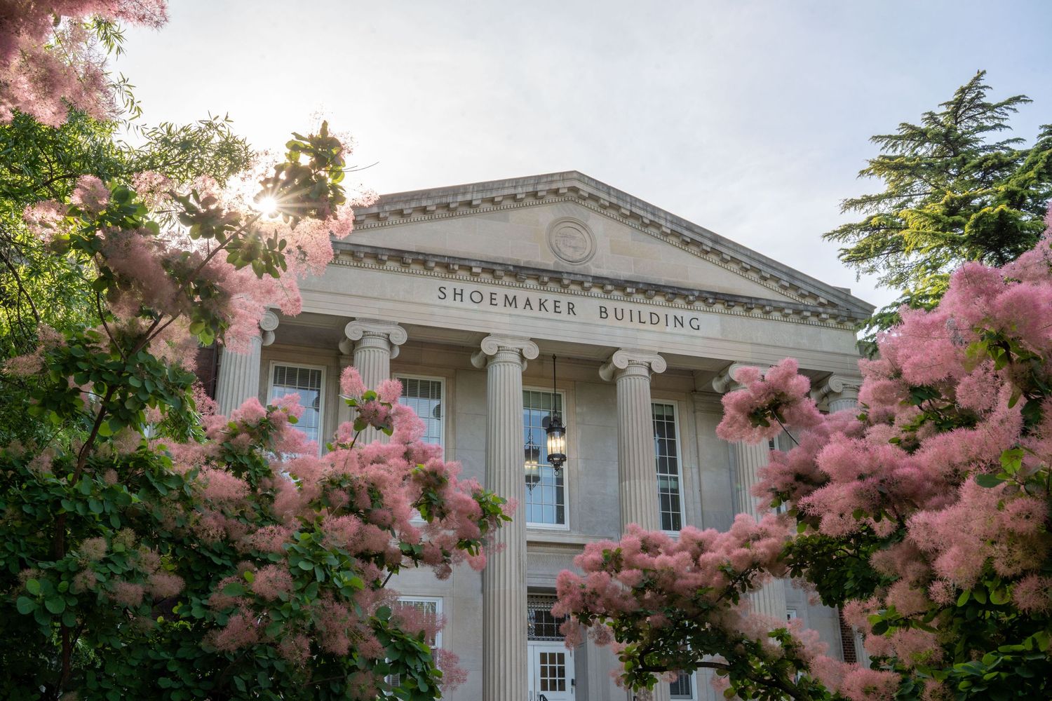 Classic brick building with white columns framed by blooming pink cherry blossoms.