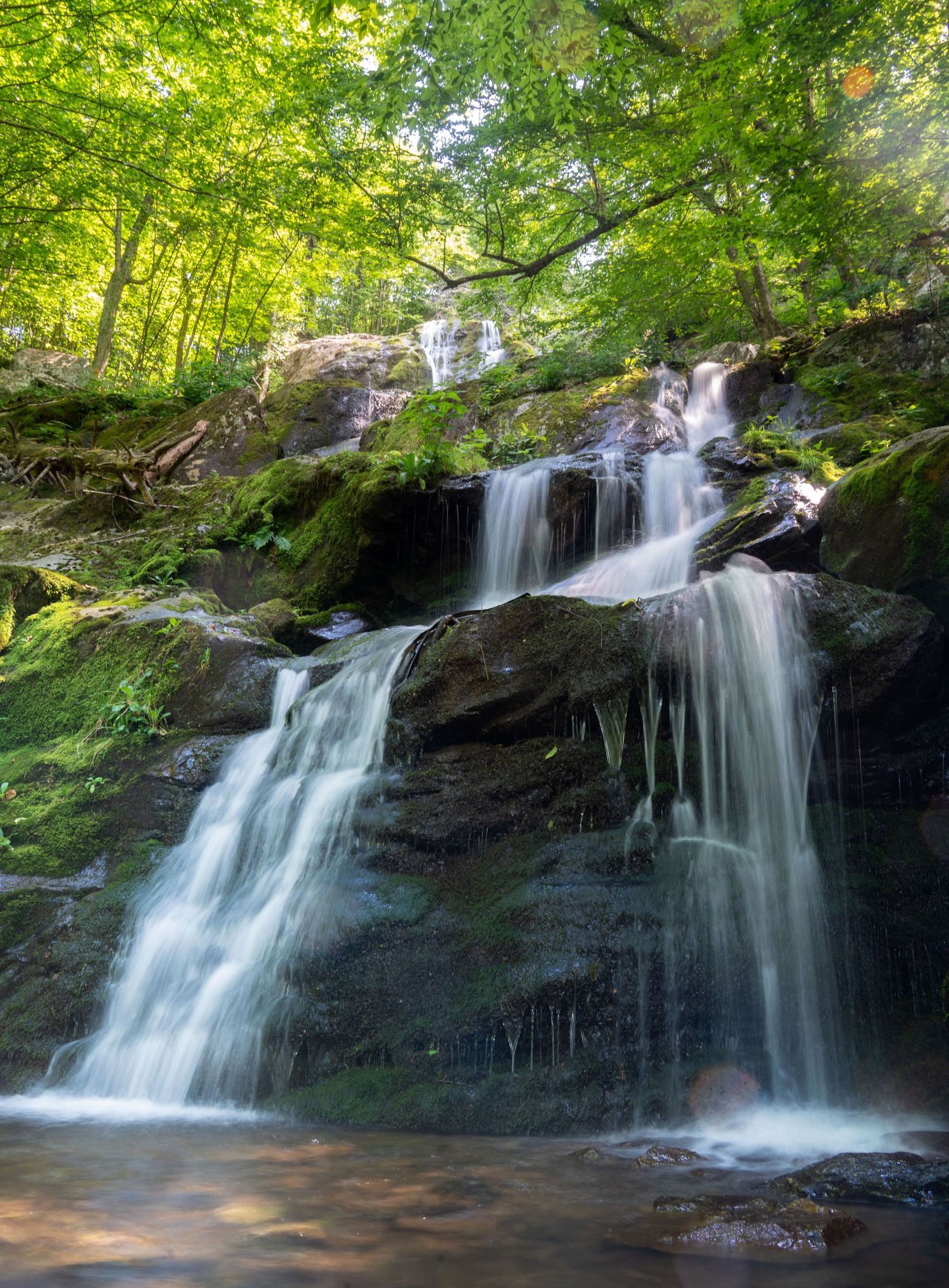 Cascading waterfall flowing over mossy rocks in a lush green forest.