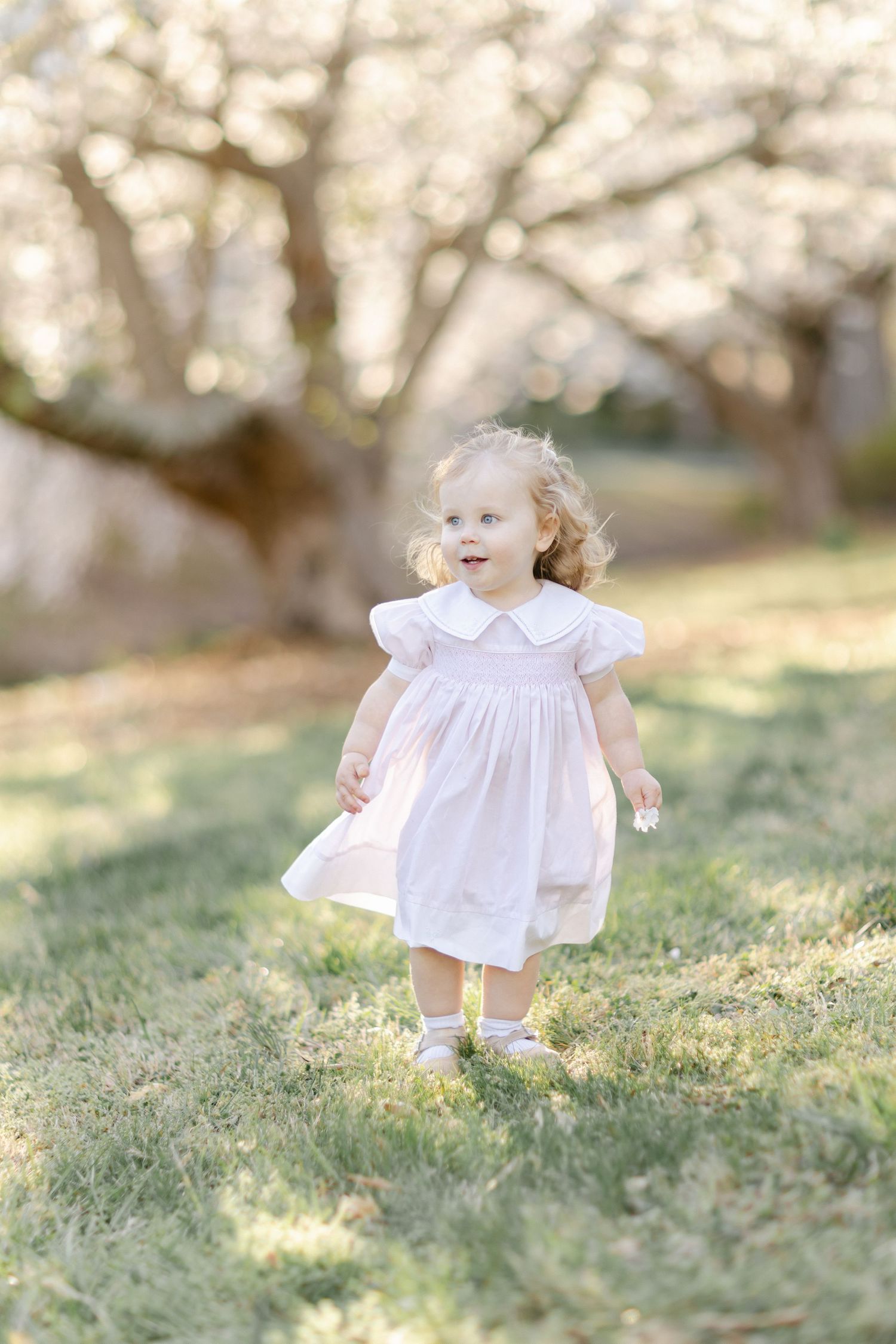Winston-Salem Family Photographer