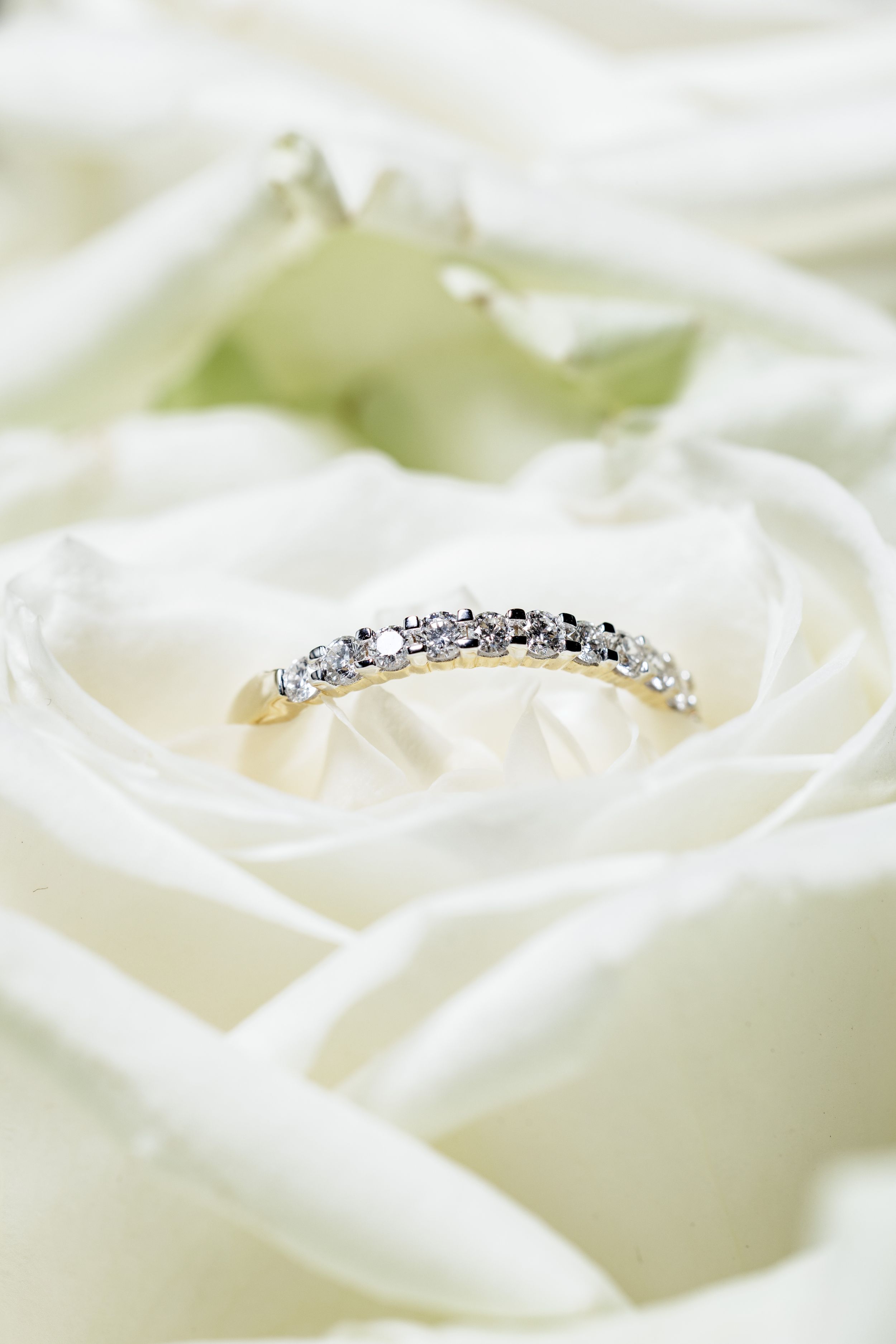 Two elegant diamond wedding rings nestled among delicate white rose petals.