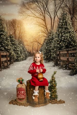 A snowy Christmas tree farm setting with rustic wooden fence and glowing golden sunset in the background.