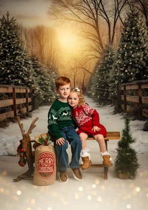 Two children sit together on a wooden bench surrounded by snow-covered evergreen trees and Christmas decorations.