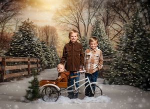 A snowy winter scene at a Christmas tree farm with three young figures posing with a vintage blue tricycle.