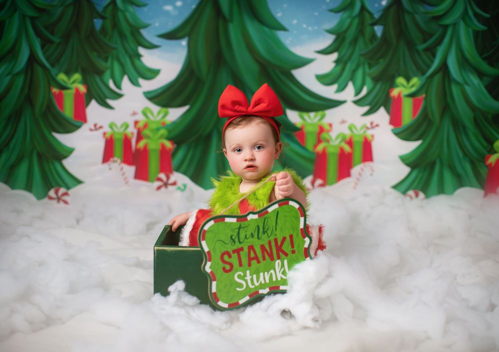 Warrenton, VA Christmas Sessions photography