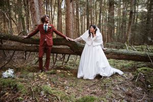 A playful wedding photo of a couple posing on a fallen tree in a forest setting.